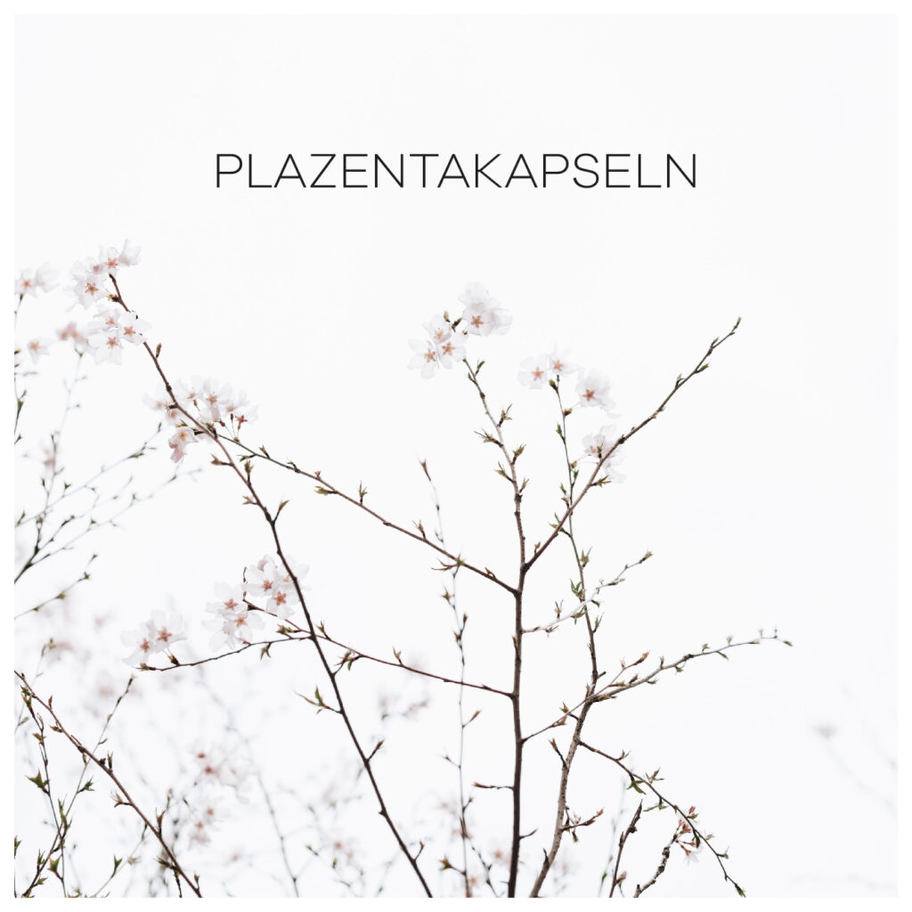 Plazentakapseln